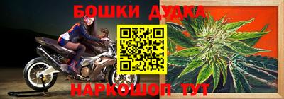 шишки Аргун