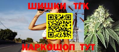 шишки Аргун