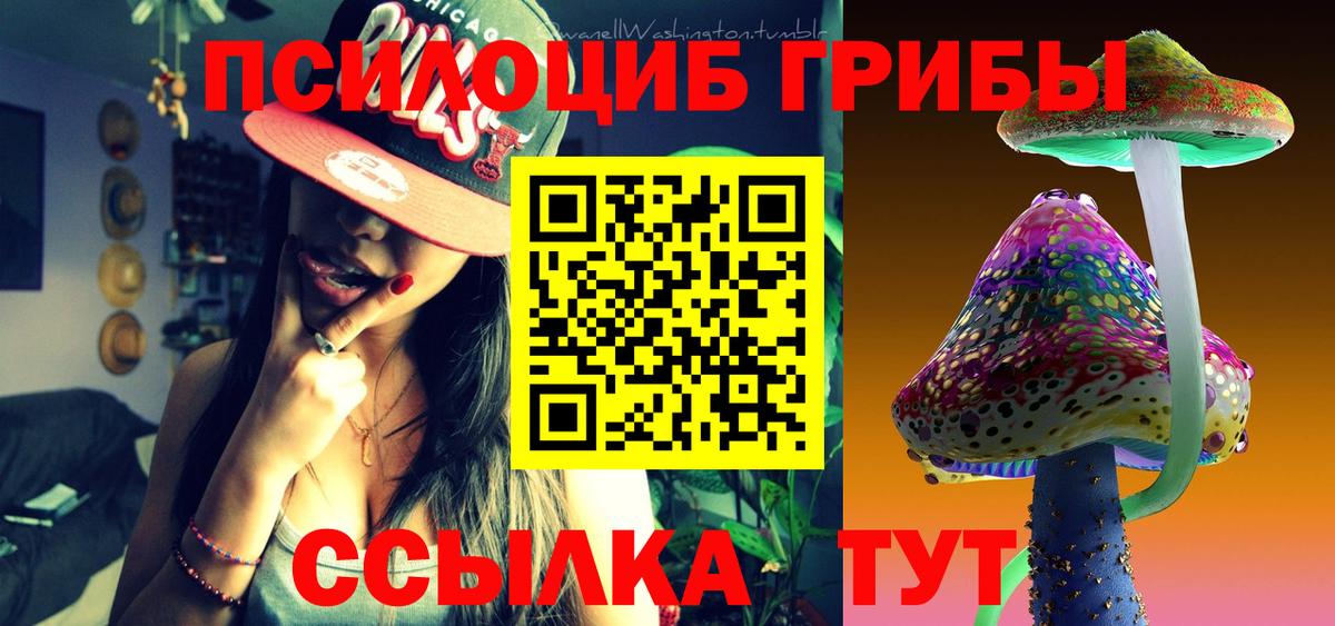 Вятские Поляны  магазин    Вход с VPN  Галлюциногенные грибы MAGIC MUSHROOMS 